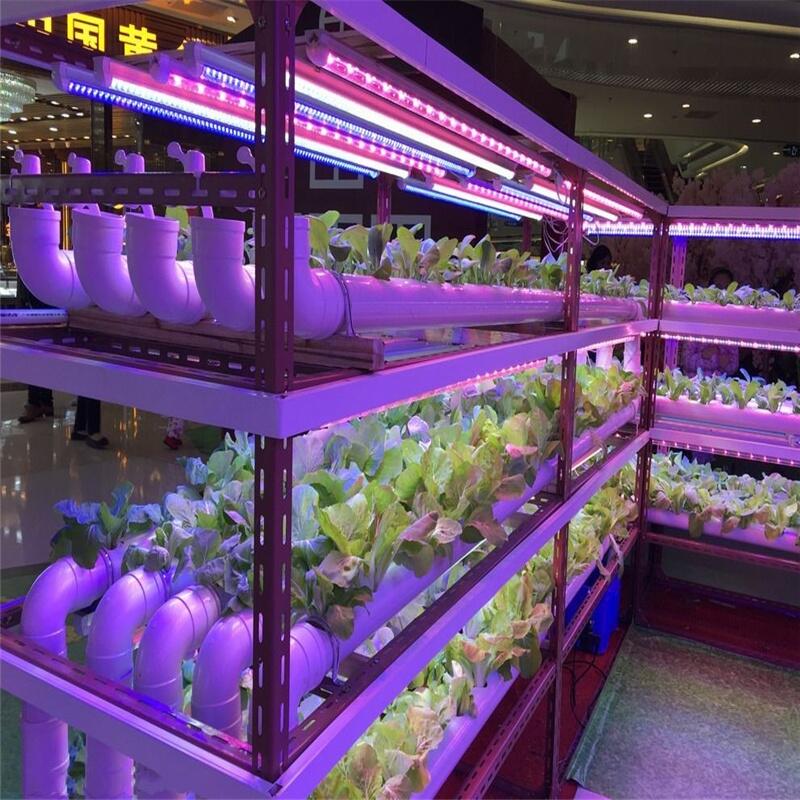 全光谱植物灯管在哪里买？深圳宏阳照明专业生产全光谱植物灯管