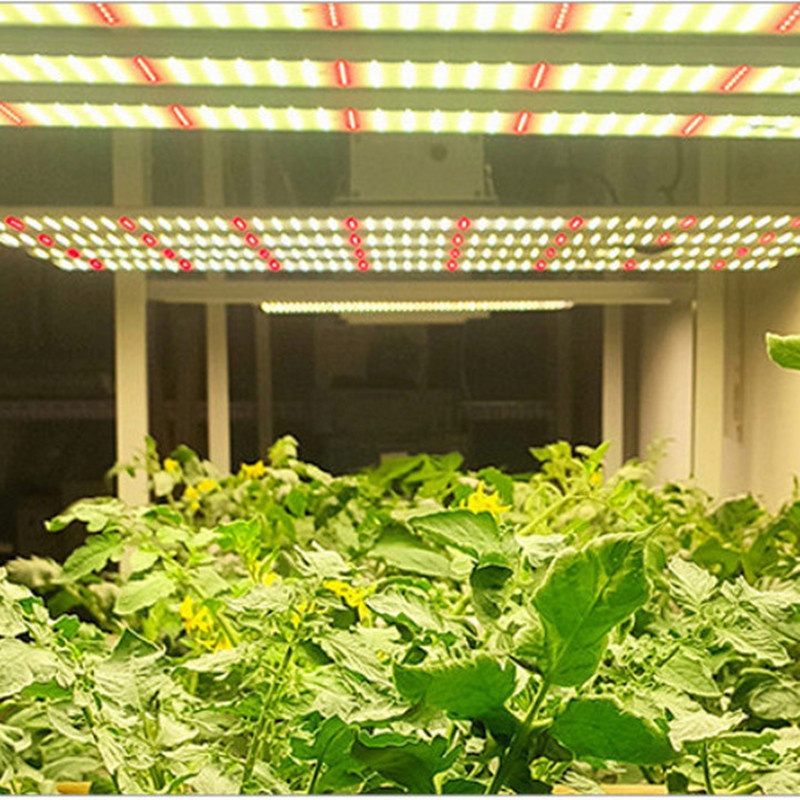 外贸公司出口的八爪鱼植物灯工厂宏阳照明专业制作八爪鱼植物灯 1000W八爪鱼植物灯