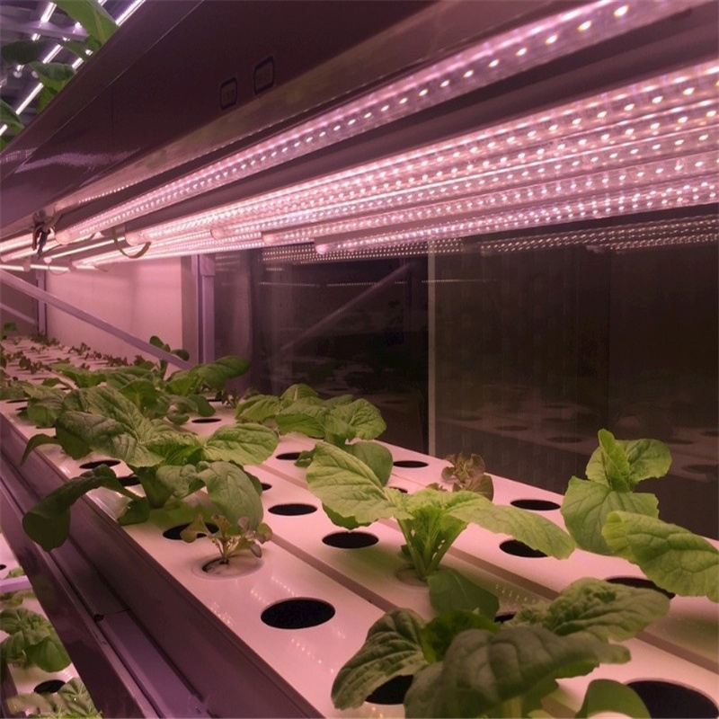 福州LED植物灯管哪家品牌好？深圳宏阳照明专业生产LED植物灯管 温室LED植物灯管