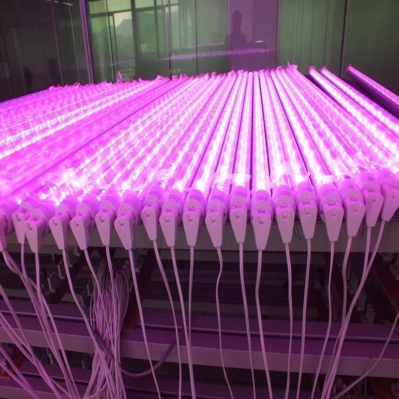 深圳植物灯厂家直销T8全光谱植物灯管  LED植物生长灯管  大棚蔬菜种植补光灯管