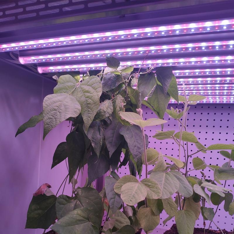 全光谱植物生长灯的工作原理有哪些？