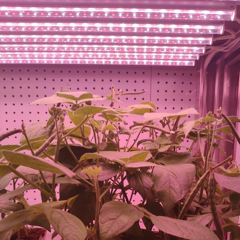 寿光led植物生长灯 全光谱led植物生长灯价格 植物生长灯多少钱？
