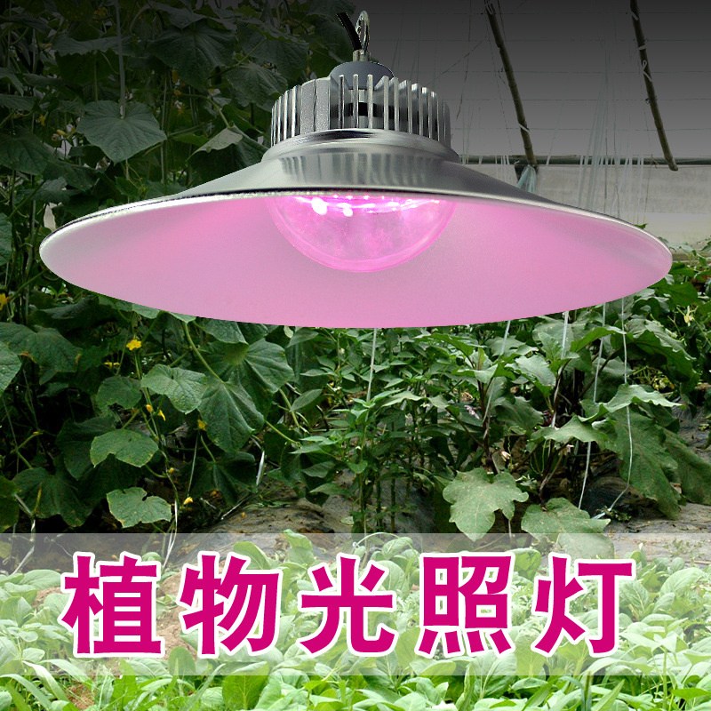 led植物补光灯结构介绍