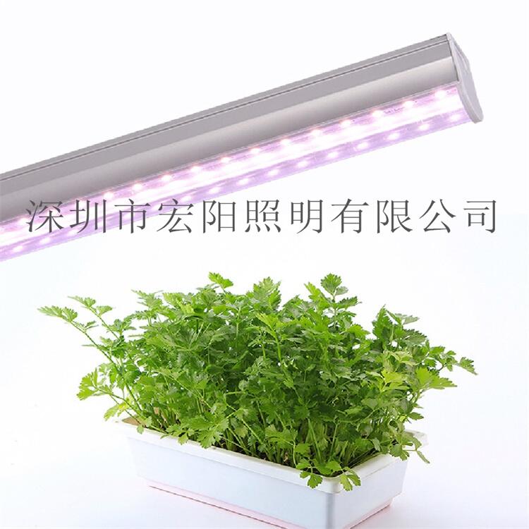 植物补光灯哪个品牌好？1.2米防水植物补光灯管 T8全光谱植物灯管 