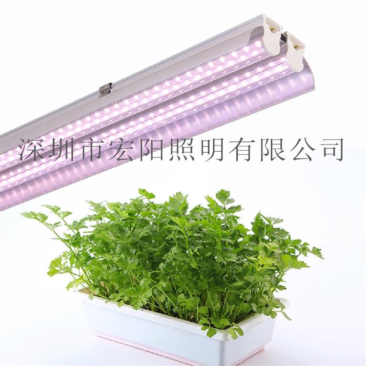深圳植物灯管厂家供应1.5米24W植物灯管 T8植物生长灯管 led植物生长灯管