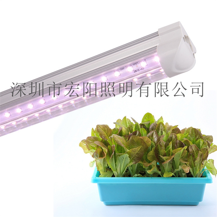 深圳植物灯厂家直销大棚温室生长灯管 蔬菜生长灯管 大棚补光灯管 