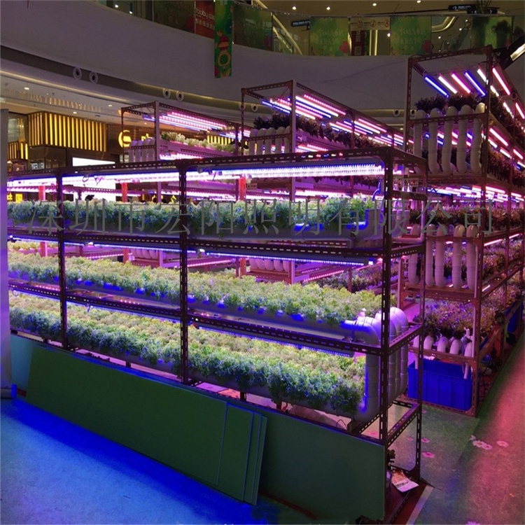 宁波采购植物灯	宁波采购LED植物灯	宁波植物灯采购