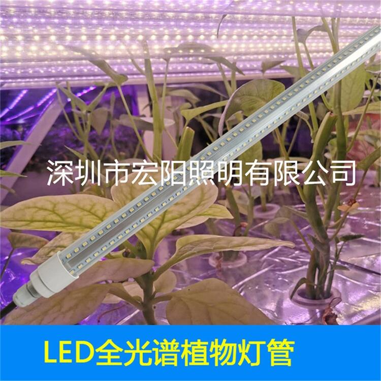 植物生长灯厂家供应0.9米28W防水植物灯管 T8分体植物灯管 led植物生长灯管