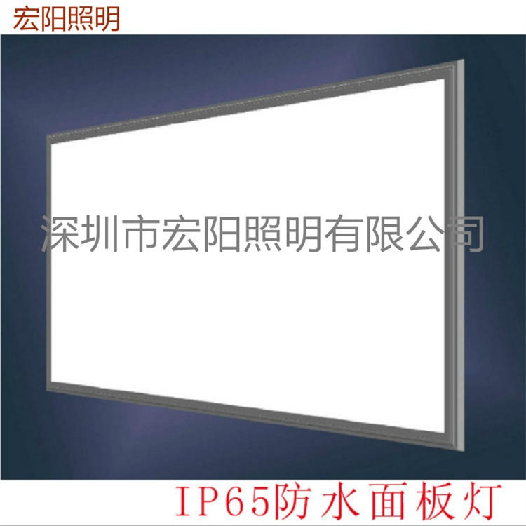 深圳防水面板灯厂家直销48W防水面板灯  600x600mm防水平板灯 IP65防水平板灯