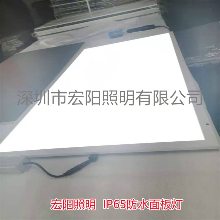 深圳防水面板灯厂家 LED防水面板灯  6060防水平板灯 IP65防水平板灯