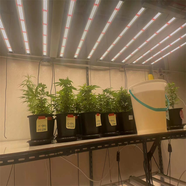 led植物灯生产厂家 LED植物补光灯 八爪鱼植物生长灯